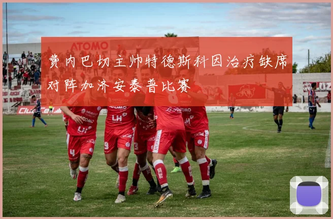 费内巴切主帅特德斯科因治疗缺席对阵加济安泰普比赛