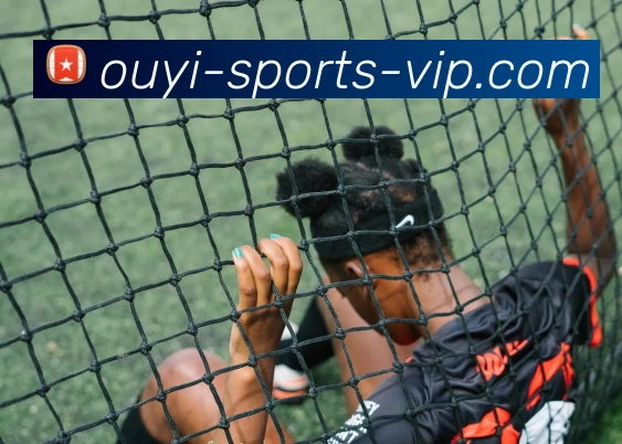 欧亿体育APP 封面图